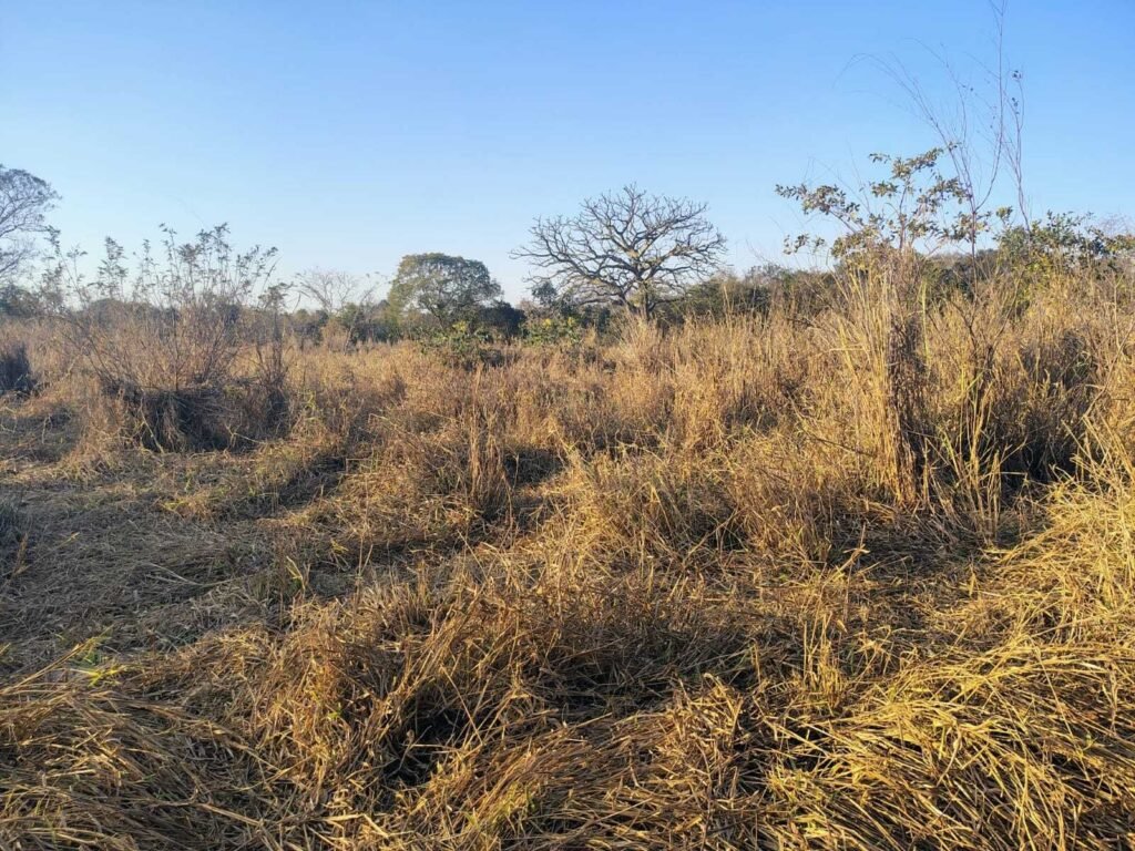 Foto 8