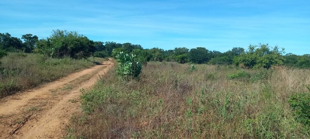 Foto 6